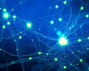 illustration of neural synapses