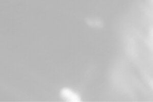 dappled light on a white wall