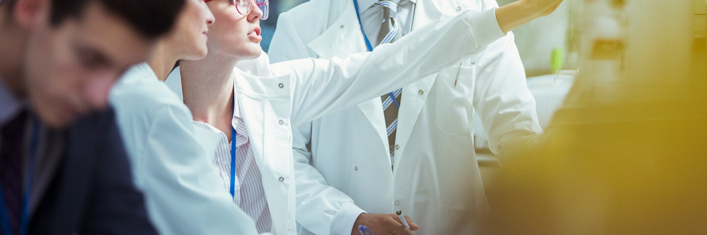 Scientists discussing results