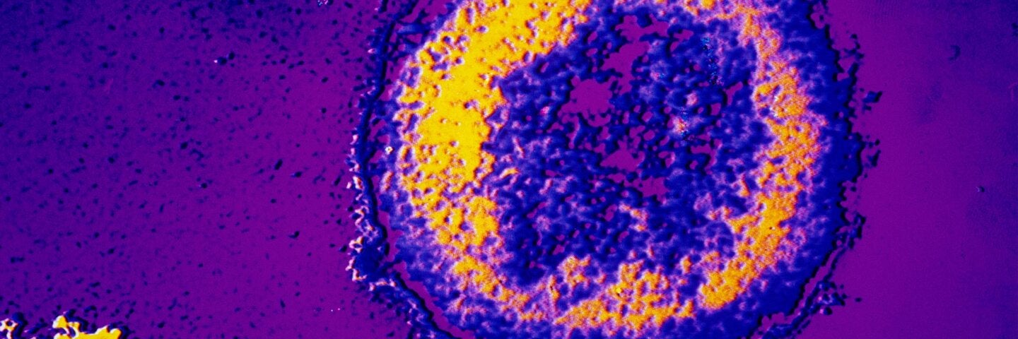 Fundamentals of Human Physiology