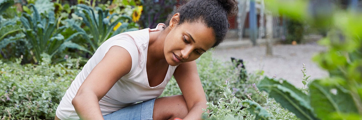 woman identifying plants