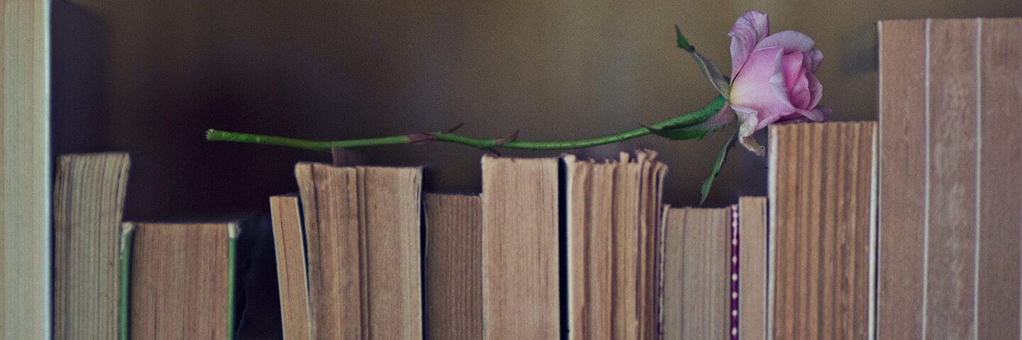 rose laying on shelf of books