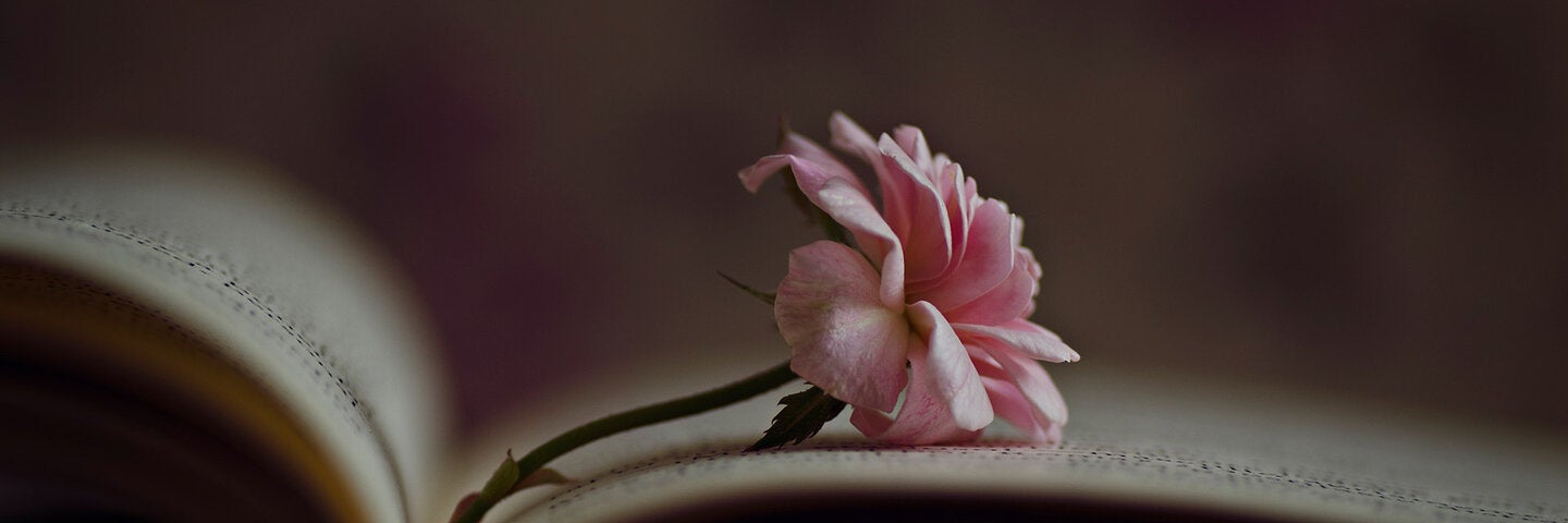Flower resting on an open book