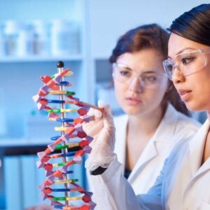 two genetic scientists chemists working together in a labratory